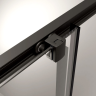 Душевой уголок Radaway Alienta Black DWJ 100 Чёрный матовый